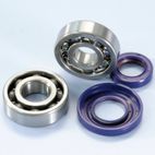Kit rodamientos y retenes de cigüeñal POLINI Vespa Ø20 - motoscamaralweb.com