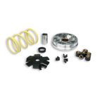 Variador MALOSSI Multivar- motoscamaralweb.com