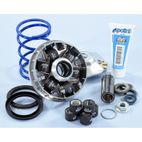 Variador Polini Hi-Speed EVO Piaggio D16-12.5º 241.748 - motoscamaralweb.com
