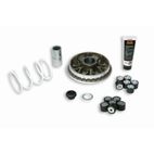 Variador Multivar Malossi HONDA SH300 / FORZA 300 5114192 (antiguo 5113398) - motoscamaralweb.com