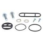 Kit reparación grifo de gasolina ALL BALLS - motoscamaralweb.com