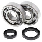 Kit rodamientos y retenes de cigüeñal ALL BALLS 24-1016 - motoscamaralweb.com
