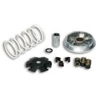 Variador Multivar Malossi PGT. TWEET/SPEEDFIGHT III SYM SYMPHONY 50 51