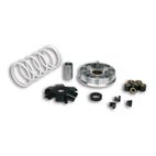 Variador Multivar Malossi KYMCO 2T AGILITY/DINK/SUPER8-9 51 9988- moto