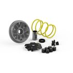 Variador Malossi Multivar Honda SFX SH SXR 50- motoscamaralweb.com