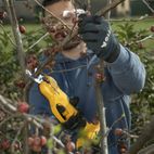 STIGA Tijera y sierra de poda a batería SC 100e Kit - motoscamaralweb.com