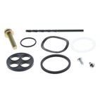 Kit reparación grifo de gasolina ALL BALLS - motoscamaralweb.com