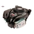 MOTOR B&amp;S DOV 750SERIES (Ø25 x 80.2) REEMPLAZA A 1006025025H8YY1001 - motoscamaralweb.com