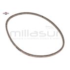 CORREA - motoscamaralweb.com