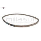 CORREA - motoscamaralweb.com