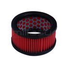 FILTRO AIRE ECHO CS670. CS680 - motoscamaralweb.com