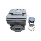 CILINDRO COMPLETO ALPINA CASTOR 52. 55 - motoscamaralweb.com