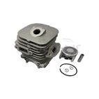 CILINDRO ECHO CS350 - motoscamaralweb.com