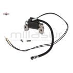 BOBINA DE ENCENDIDO - motoscamaralweb.com