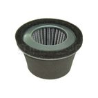 FILTRO AIRE CORTAC. ROBIN EY 20 - motoscamaralweb.com