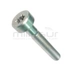 PACK 10 UDS - TORNILLO STIHL M5x0.8xL30 mm. - motoscamaralweb.com