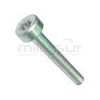 PACK 10 UDS - TORNILLO STIHL M5x0.8xL35 mm. - motoscamaralweb.com