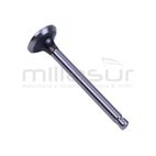 VÁLVULA ESCAPE ROBIN EH12 - motoscamaralweb.com