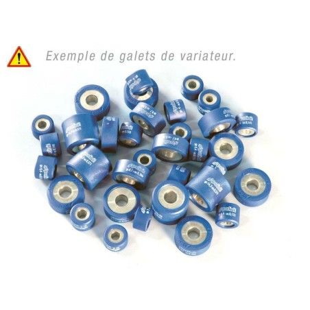 Rodillos de variador POLINI 25x21.8mm 16.3gr - 8 piezas- motoscamaralw