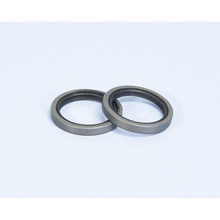 RETENES Variador Polini YAMAHA-HONDA (242041)- motoscamaralweb.com