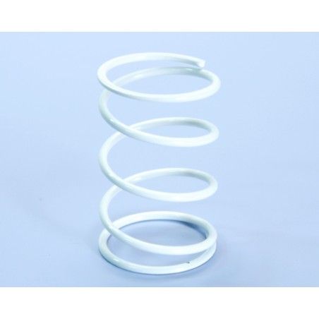 Muelle de contraste POLINI HONDA D.4.1 (243021) - motoscamaralweb.com