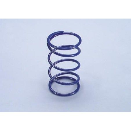 Muelle de contraste POLINI YAMAHA MAJESTY 250 4T (243071) - motoscamaralweb.com