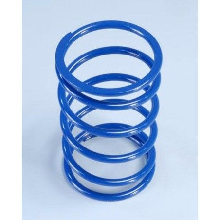 Muelle de contraste POLINI PIAGGIO 500-400 (243078) - motoscamaralweb.com