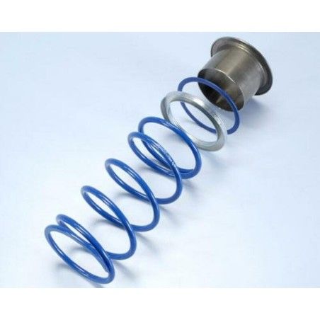 Muelle de contraste POLINI EVO SLIDER GILERA GP 800/APRILIA SRV 850 (243095) - motoscamaralweb.com