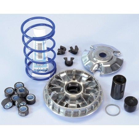 Variador Polini HI-SPEED PIAG. 200/250/300 9R. (241665)- motoscamaralw