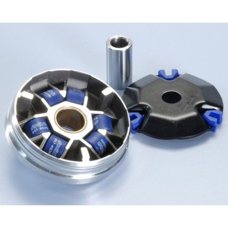 Variador Polini KYMCO PEOPLE -SUPER 9 50 (241687)- motoscamaralweb.com