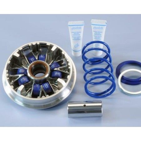 Variador Polini YAMAHA MAJESTY 400&amp;gt;2009 (241693)- motoscamaralweb.com