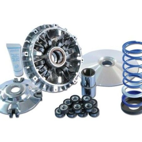 Variador Polini HI-SPEED YAM.T-MAX 500 12 ROD. (241696)- motoscamaralw