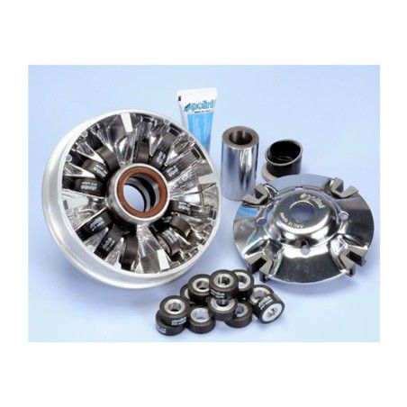 VARIADOR HI-SPEED POLINI 12 rodillos Peugeot Metropolis 400 (241.717)-