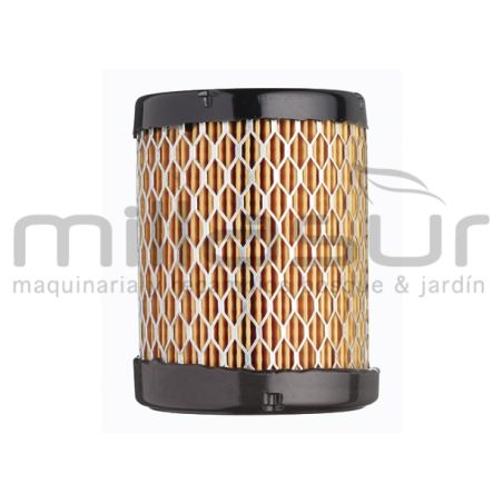 FILTRO AIRE - motoscamaralweb.com