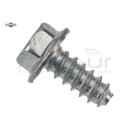 TORNILLO DE SALIDA ESCAPE - motoscamaralweb.com