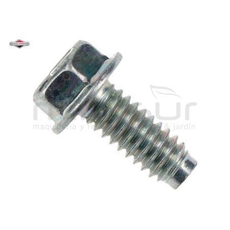 TORNILLO - motoscamaralweb.com