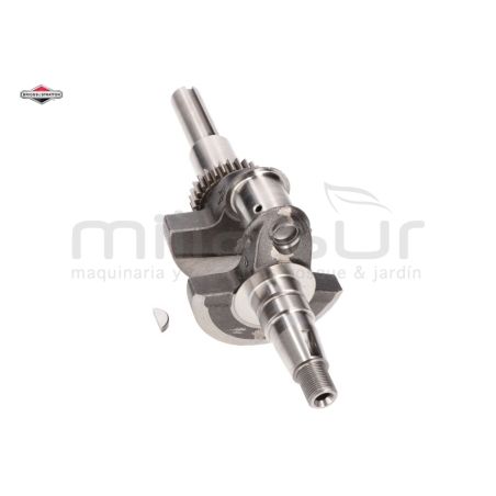 CIGÜEÑAL - motoscamaralweb.com