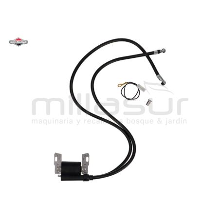 BOBINA - sustituye 394891 - motoscamaralweb.com