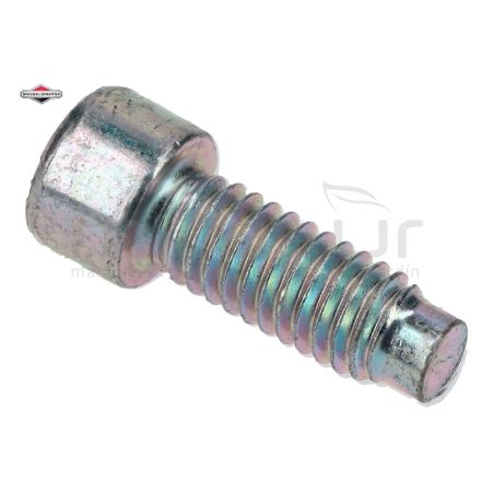 TORNILLO 796201 - motoscamaralweb.com
