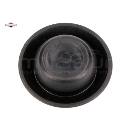TAPON - motoscamaralweb.com
