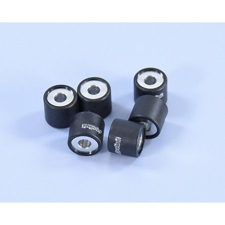 Rodillos de variador POLINI 19x17mm 9gr- motoscamaralweb.com