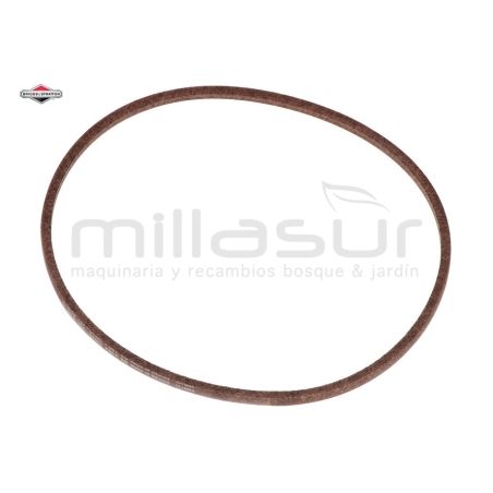 CORREA - motoscamaralweb.com