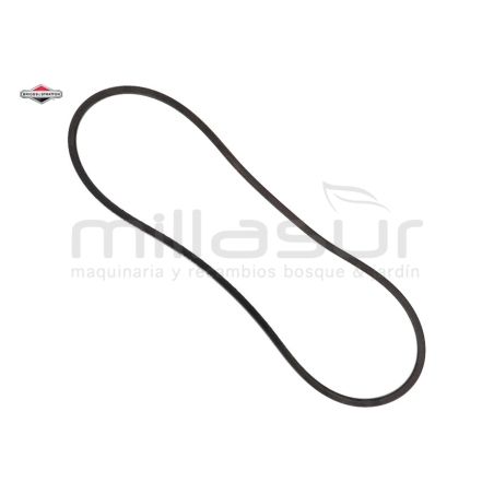 CORREA - motoscamaralweb.com