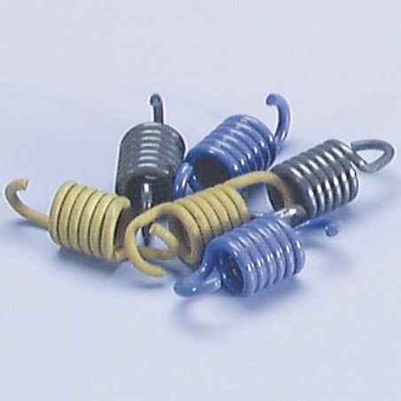 Kit de muelles de embrague POLINI - motoscamaralweb.com