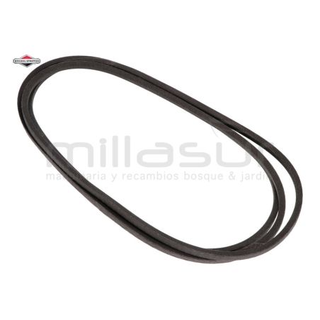 CORREA CORTE - motoscamaralweb.com