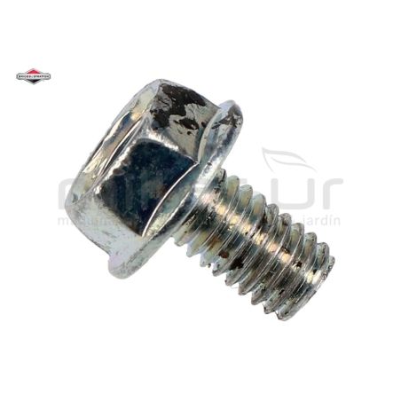 TORNILLO - motoscamaralweb.com