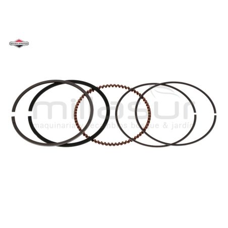 JUEGO SEGMENTOS - motoscamaralweb.com