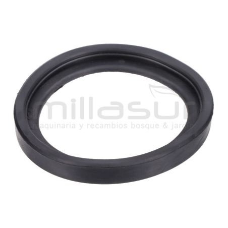 JUNTA INFERIOR MOTOR AS20C (18) - motoscamaralweb.com