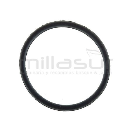 JUNTA TORICA - motoscamaralweb.com