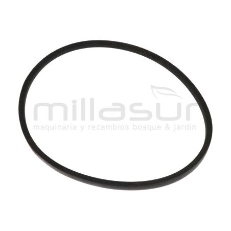 CORREA BIO150D. B1092 LI - motoscamaralweb.com